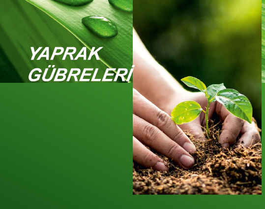 Fertilizantes de hojas